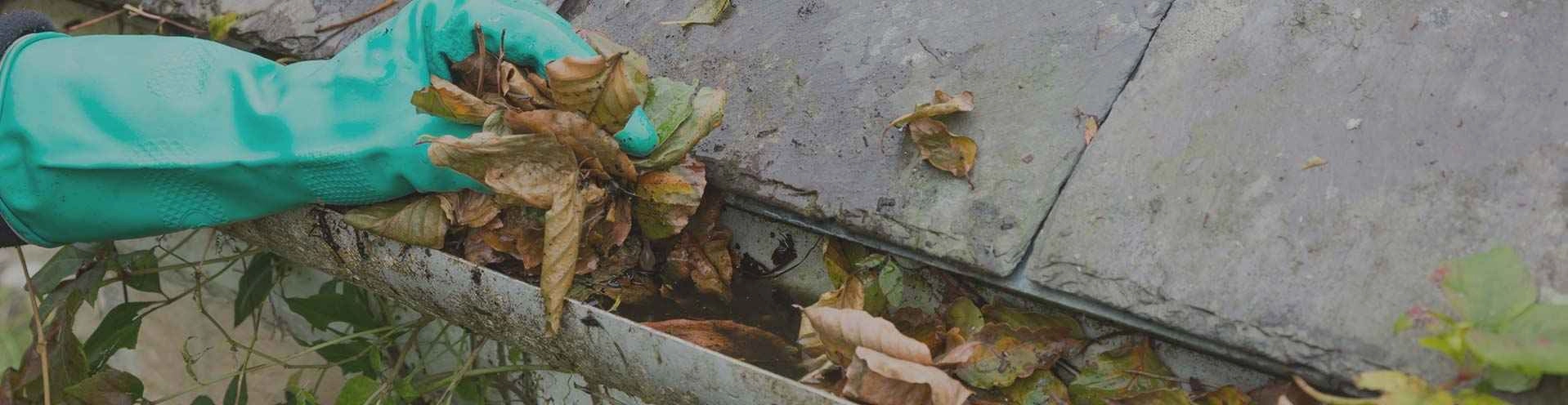 Gutter Cleaning North Shore