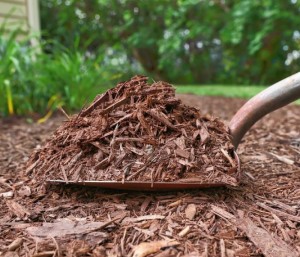 Tree mulching and wood chipping