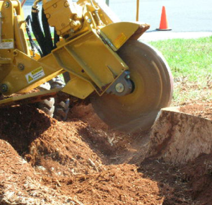 stump grinding sydney