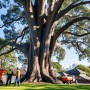 Tree Removal Sydney: Cost, Safety & Secrets Homeowners Must Know Before Hiring an Arborist
